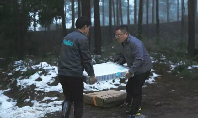 威能暖氣片